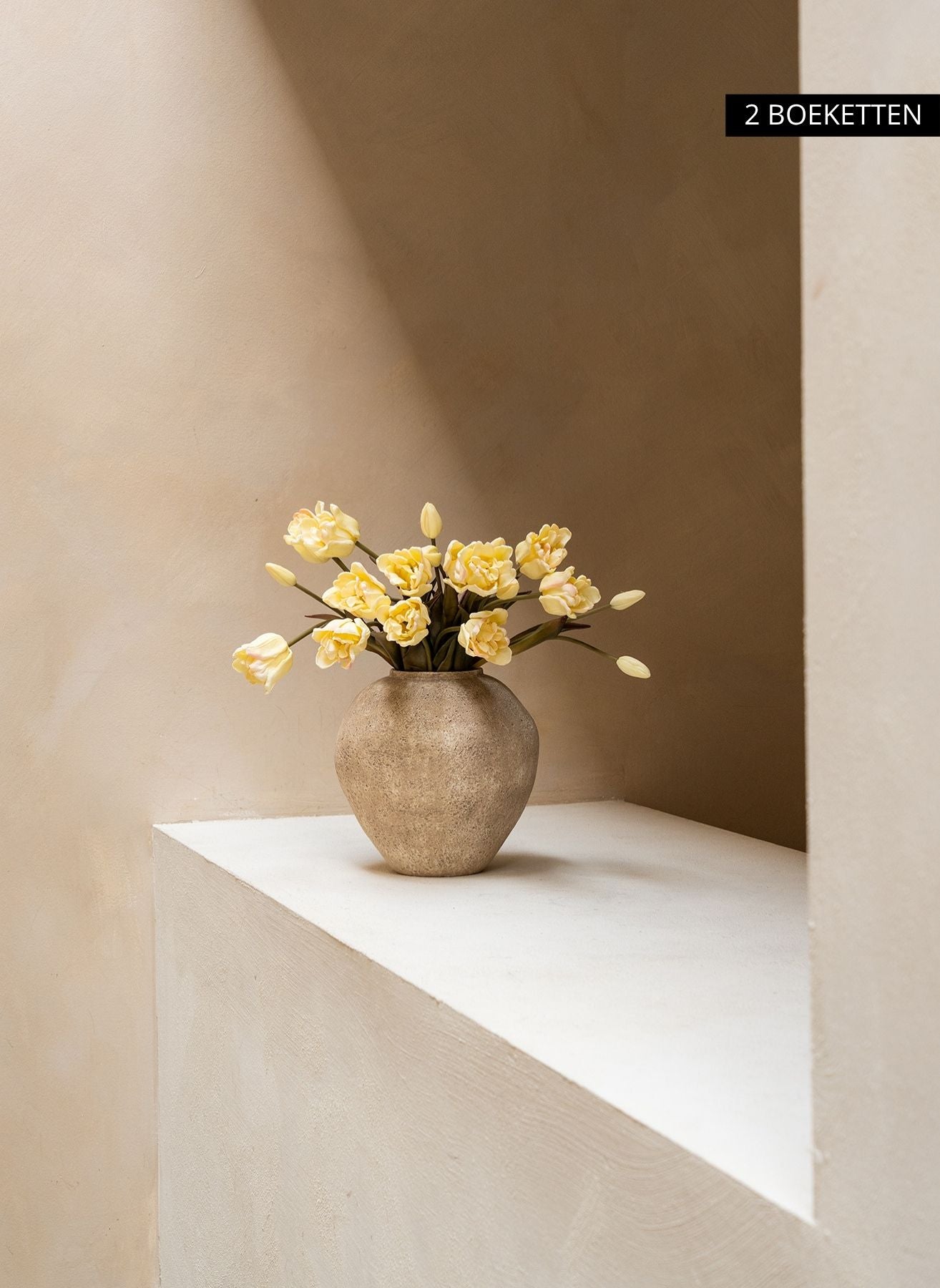 Tulipani pappagallo - Bianco