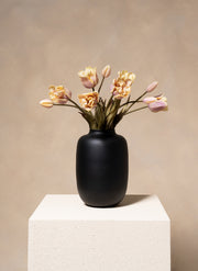 Tulipani pappagallo - Viola