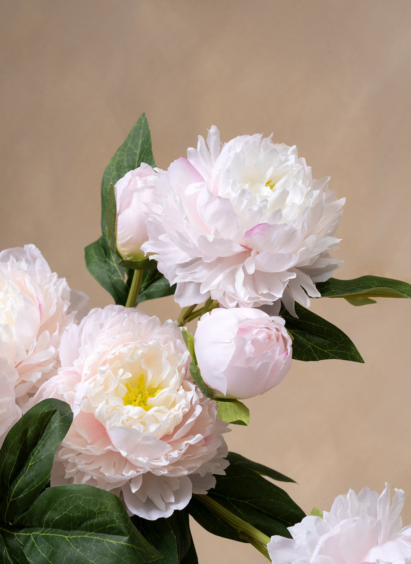 Peonie di Seta - Rosa Chiaro
