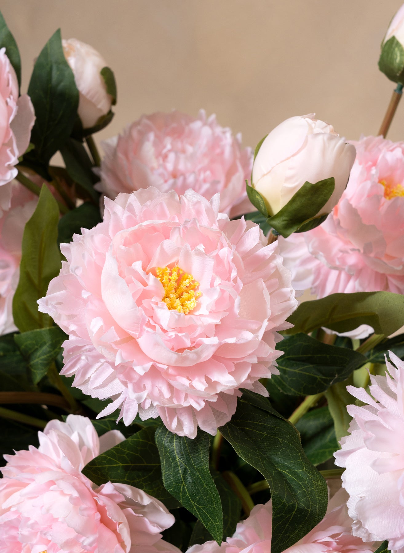 Peonie di Seta - Rosa