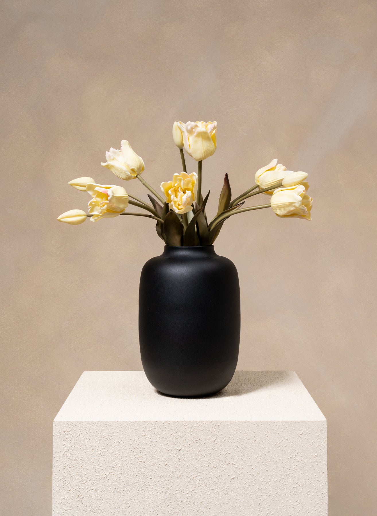 Tulipani Pappagallo - Bianco