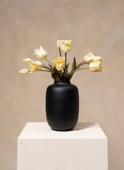 Tulipani pappagallo - Bianco