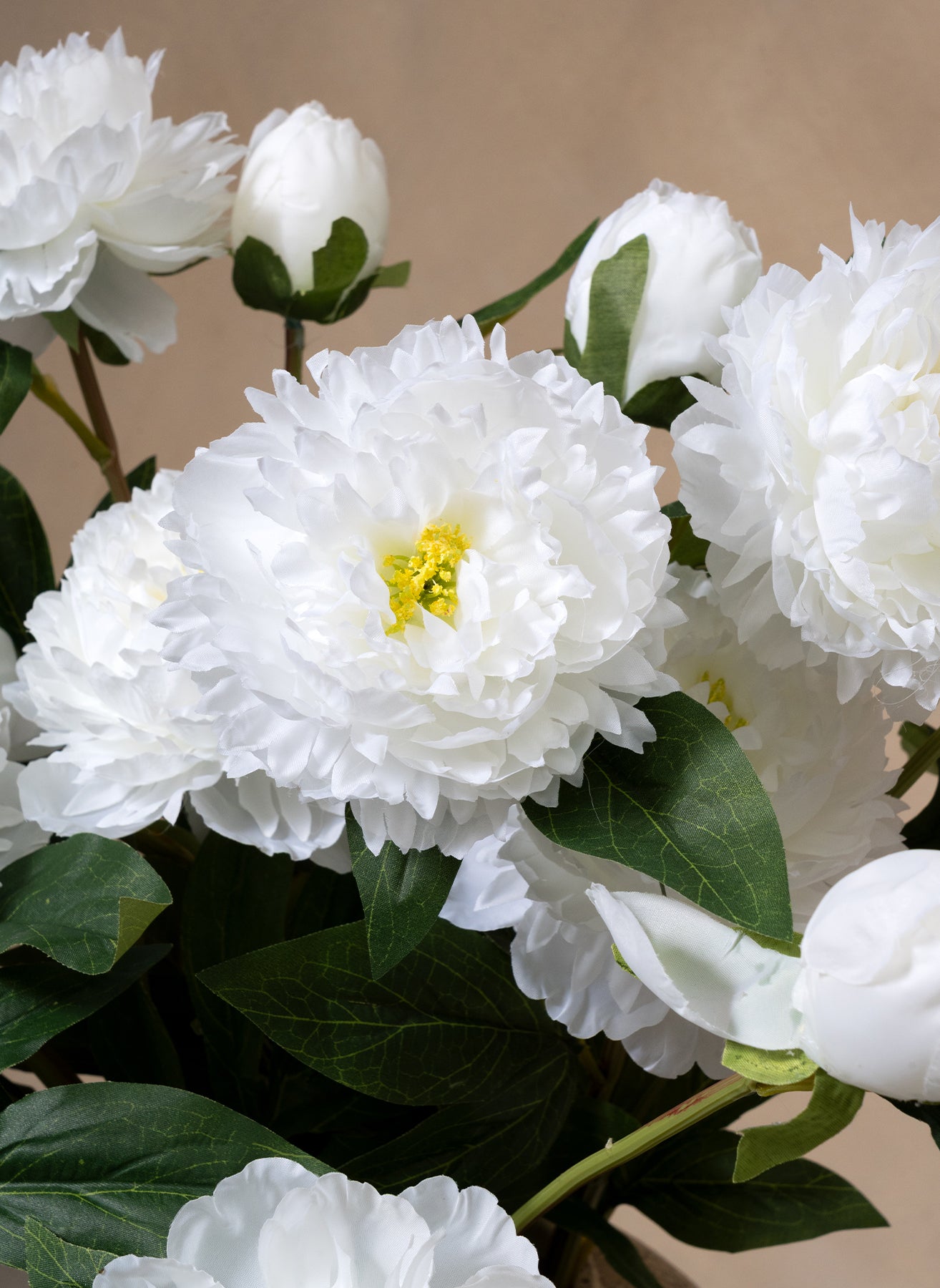 Peonie di Seta - Bianco