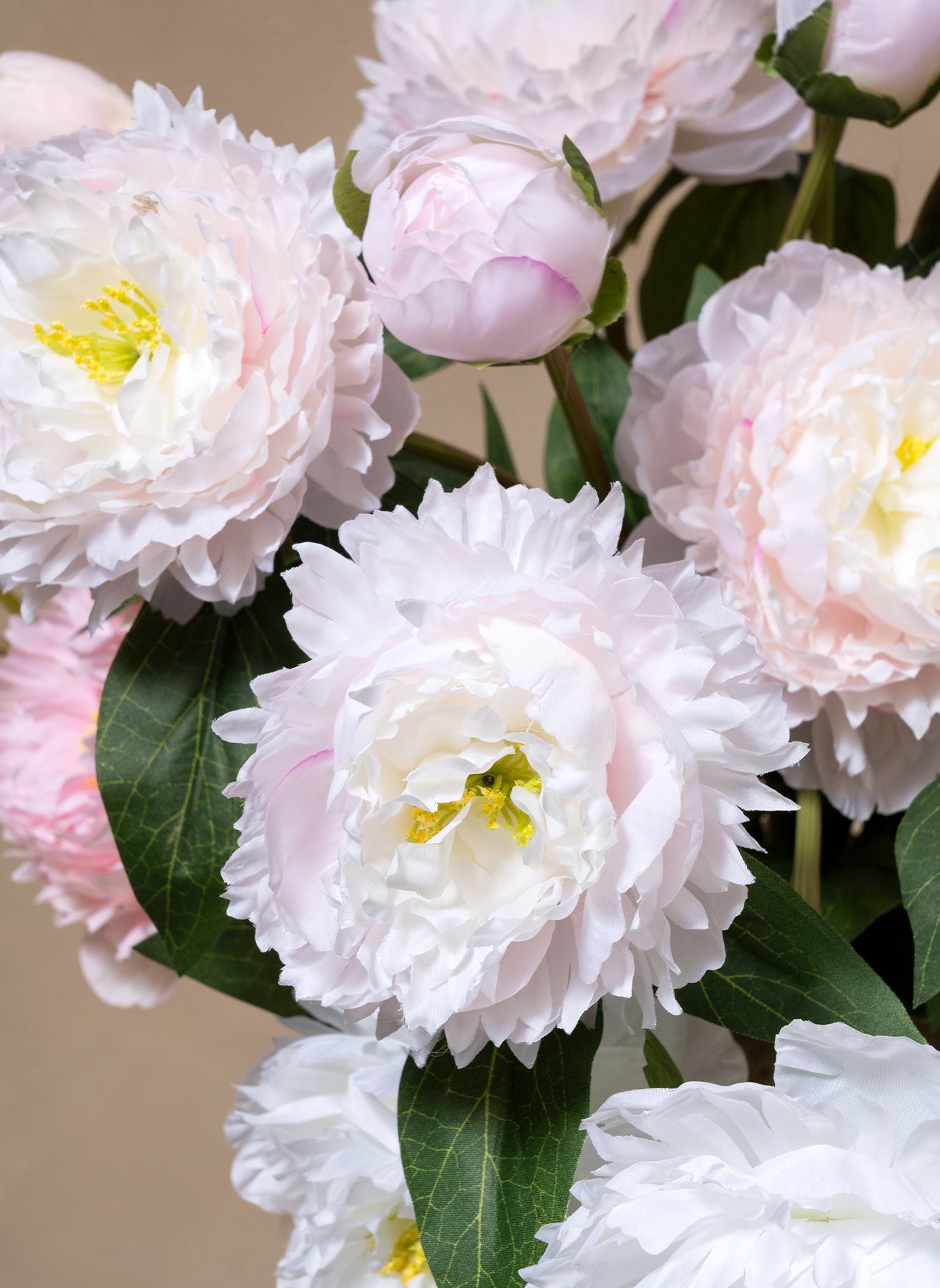 Peonie di Seta - Mix