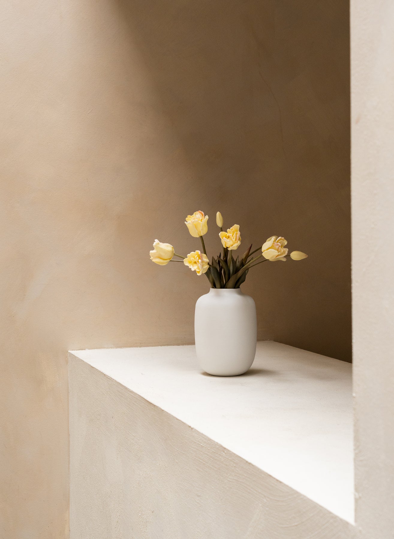Tulipani pappagallo - Bianco