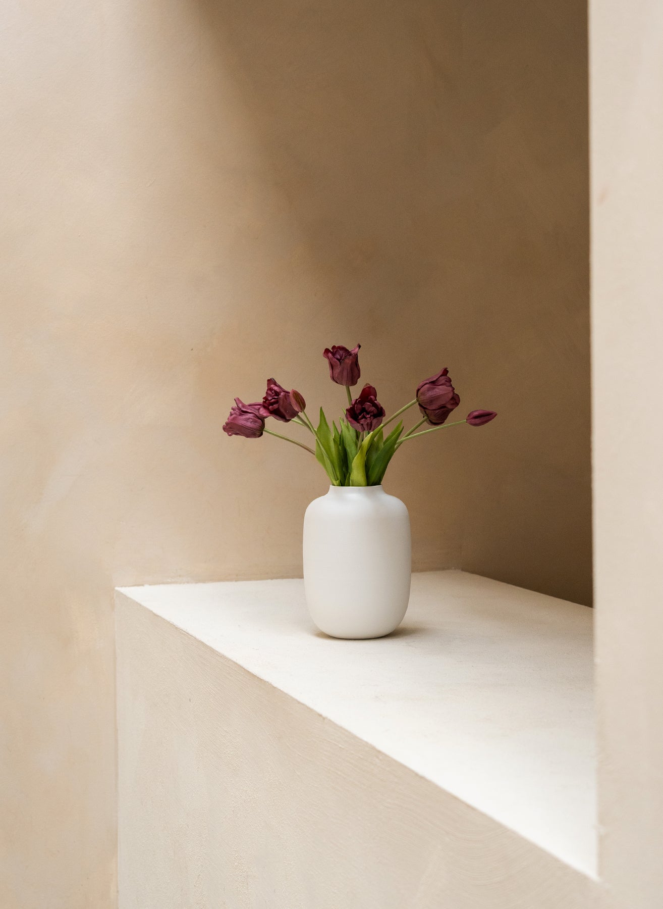 Tulipani pappagallo - Viola