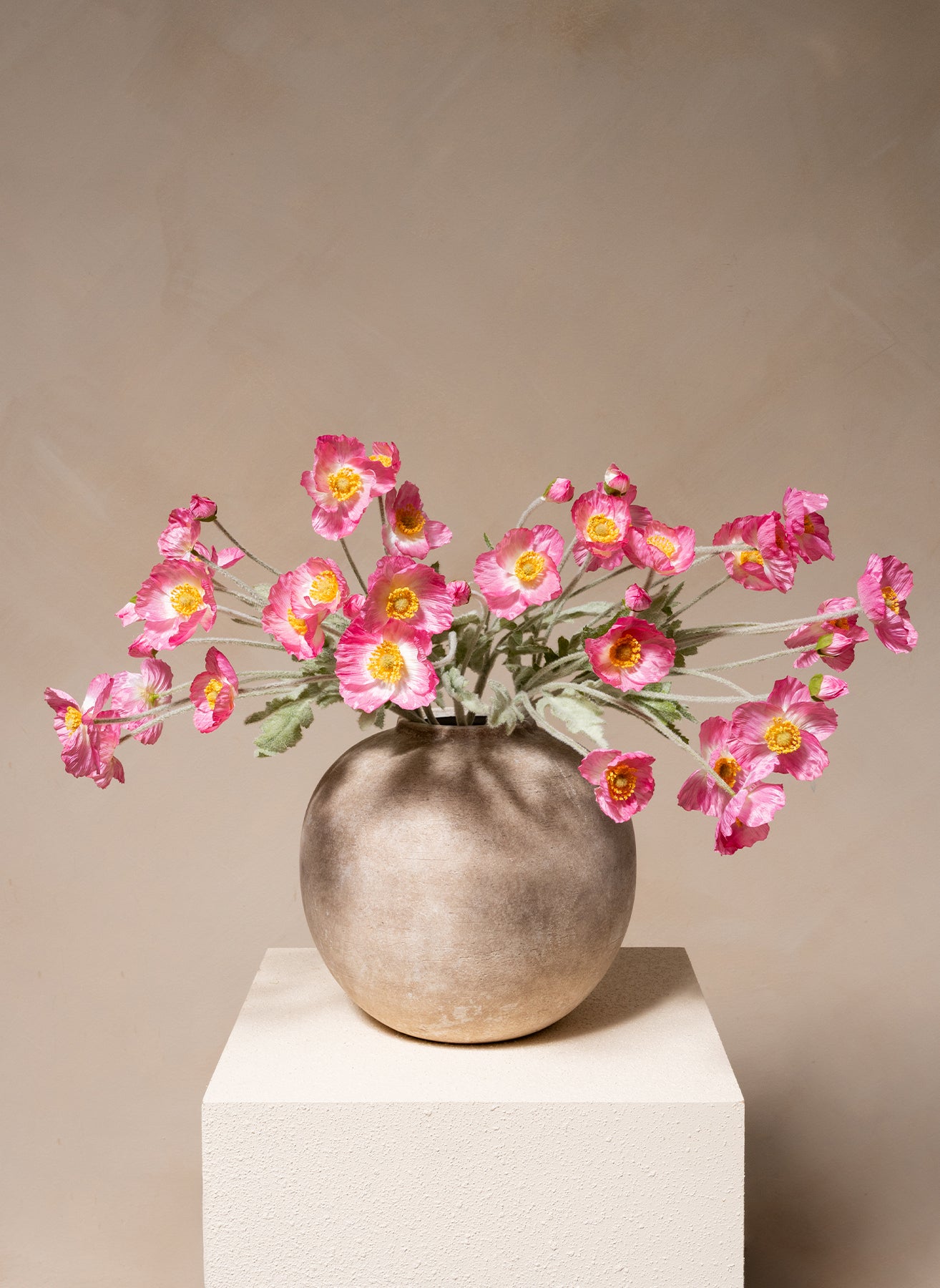 Papaveri di Seta - Rosa