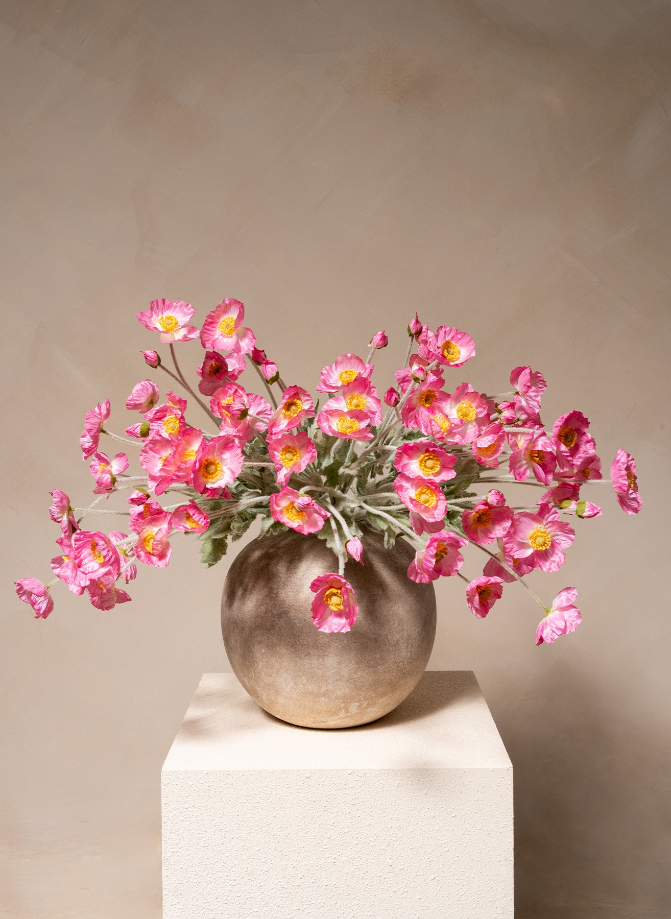 Papaveri di Seta - Rosa