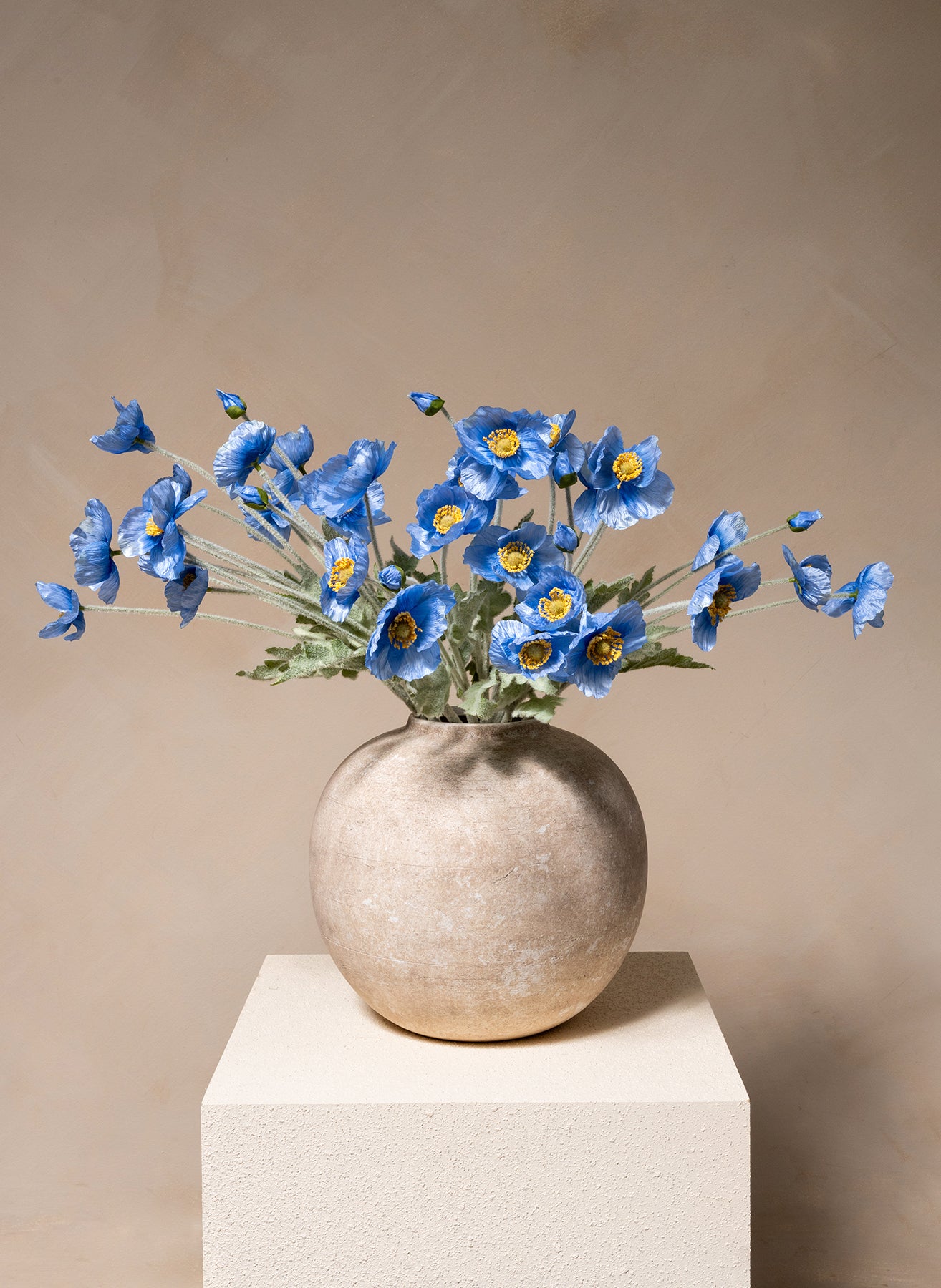 Papaveri di Seta - Blu
