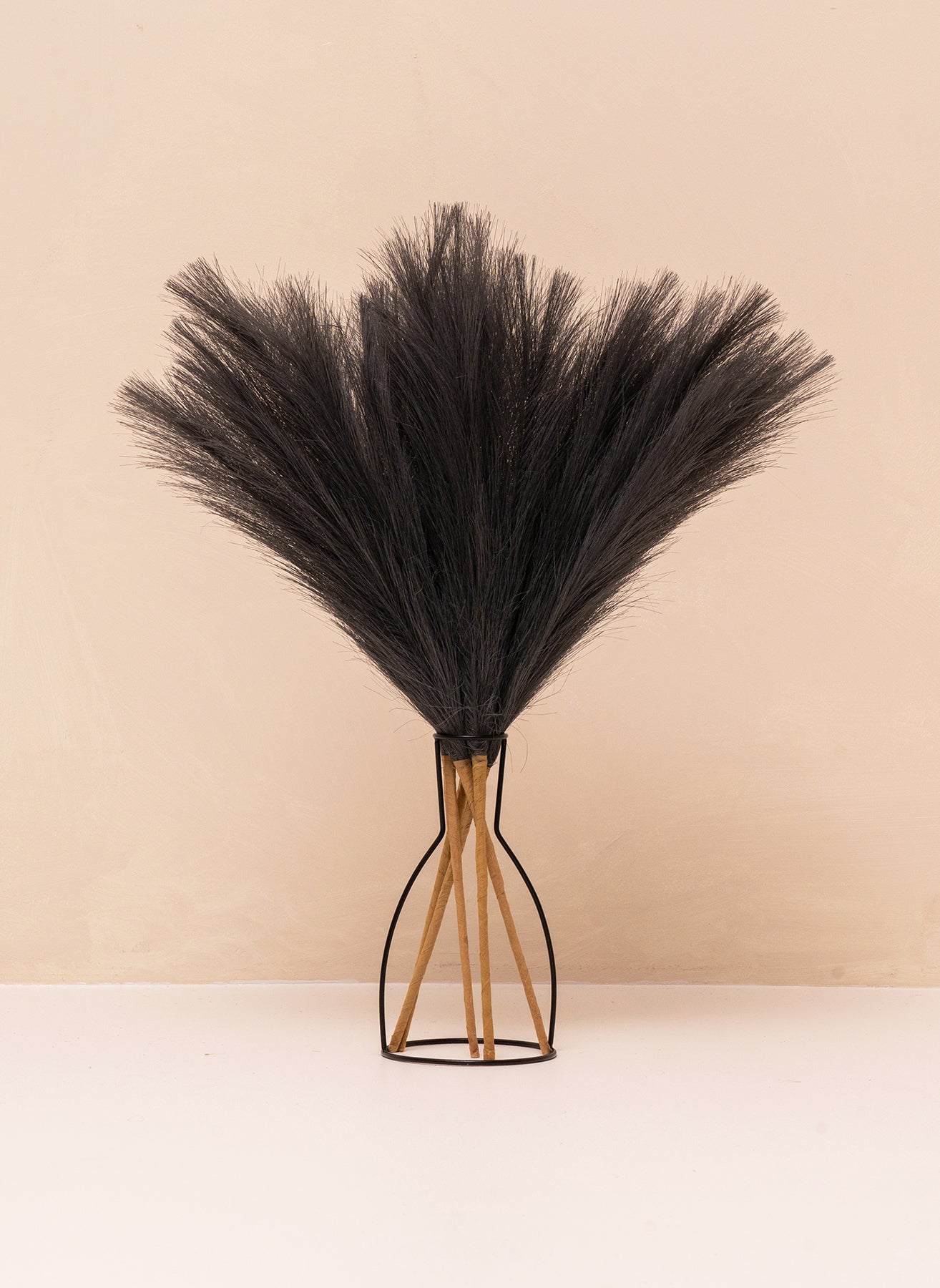 Pampas 60cm (5 steli) - Grigio scuro