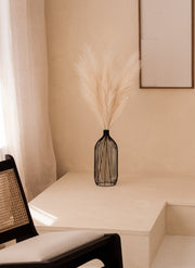 Pampas 110cm (3 steli) - Beige