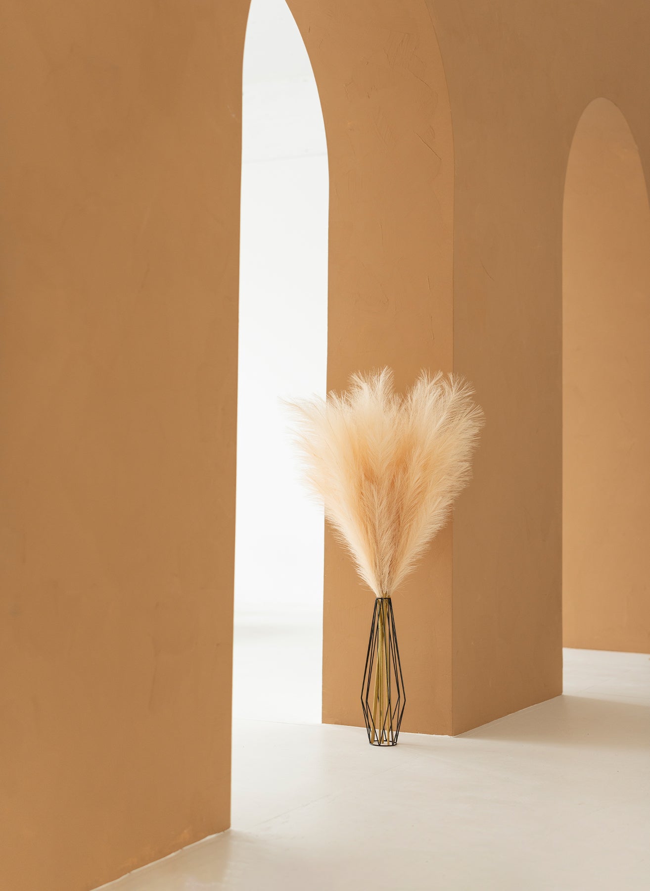Pampas 110cm (3 steli) - Crema