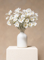 Margherite in seta (10 steli) – Bianco