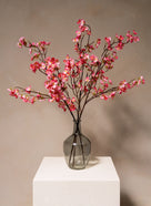 Fiori di Ciliegio - Rosa fucsia