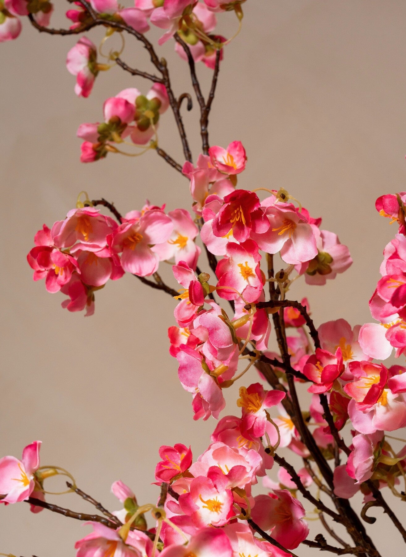 Fiori di Seta - Fucsia rosa