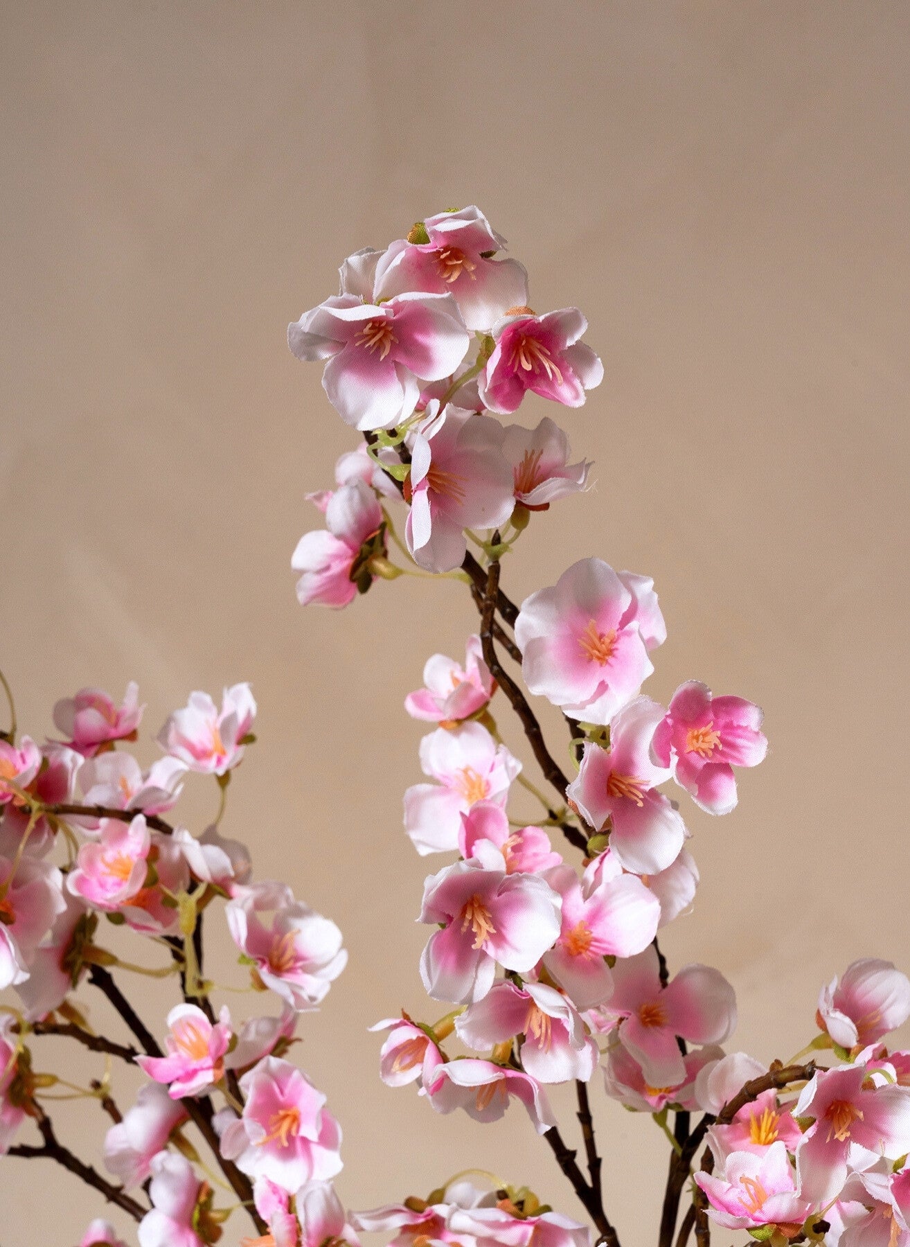Fiori di Seta - Rosa