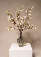 Fiori di Ciliegio - Bianco