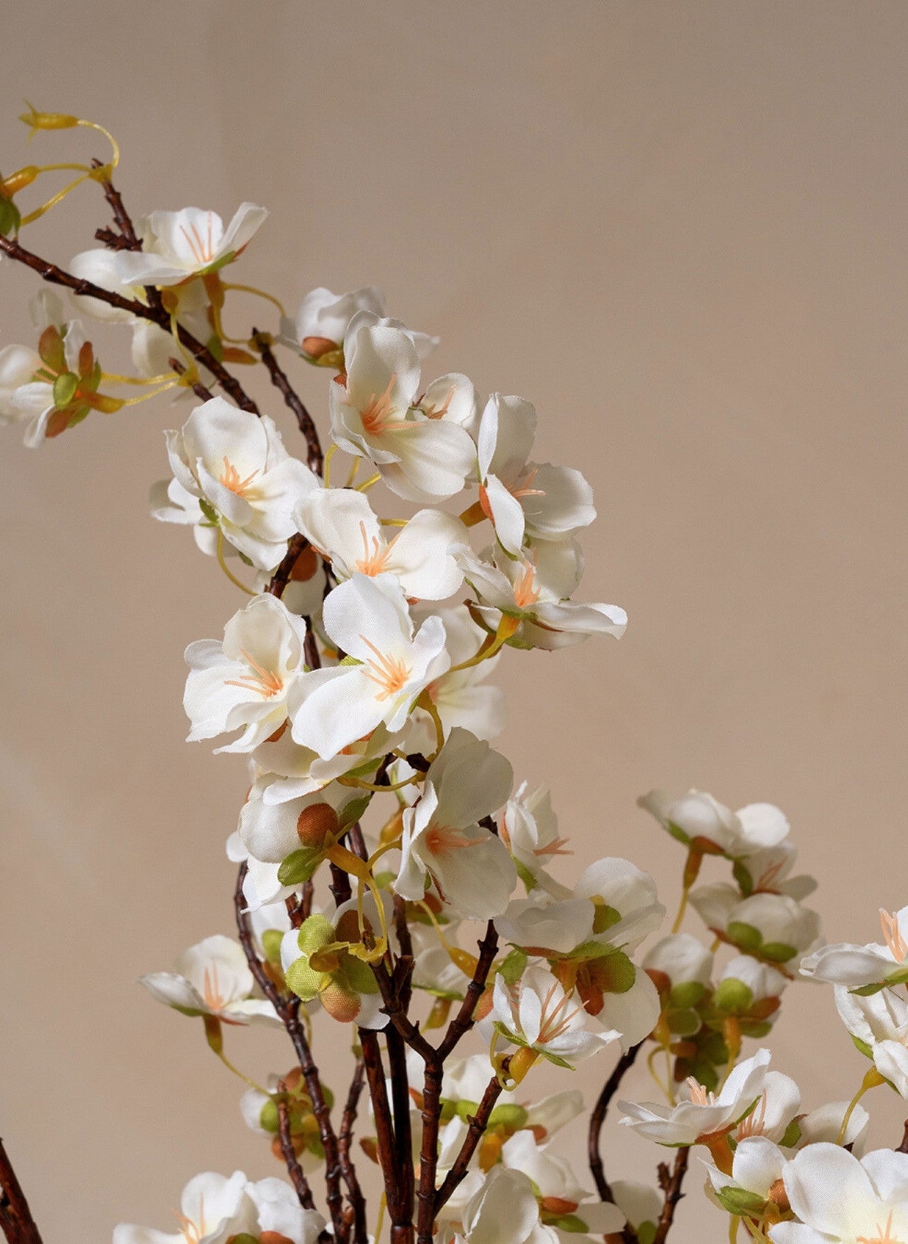 Fiori di Seta - Bianco