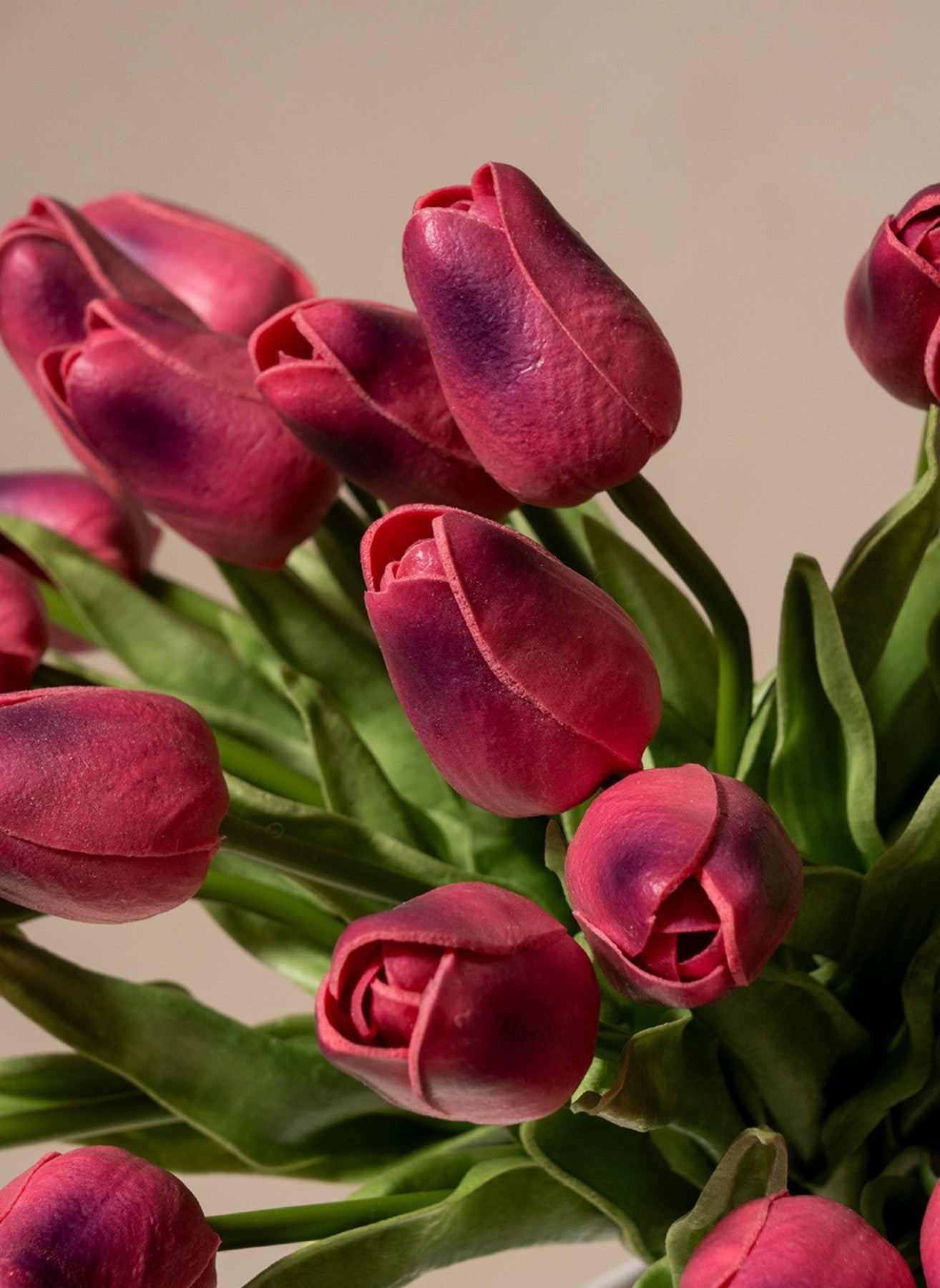 Bouquet di Tulipani - Viola (25 steli)