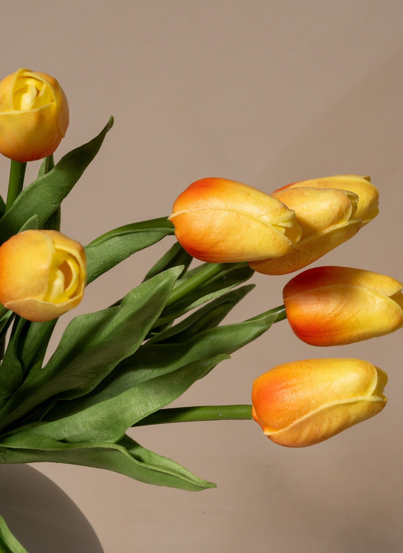 Bouquet di Tulipani - Pesca (25 steli)
