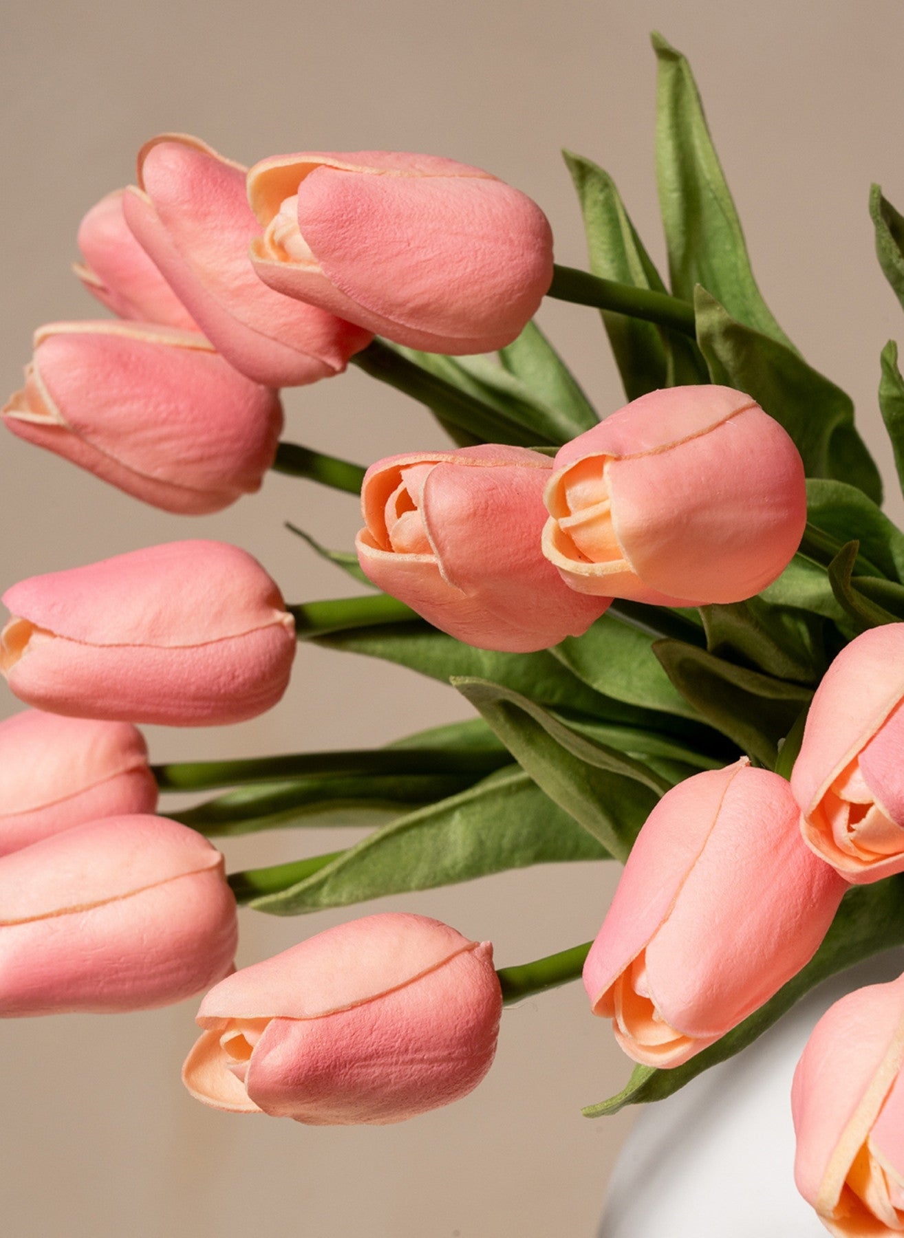 Bouquet di Tulipani - Rosa (25 steli)
