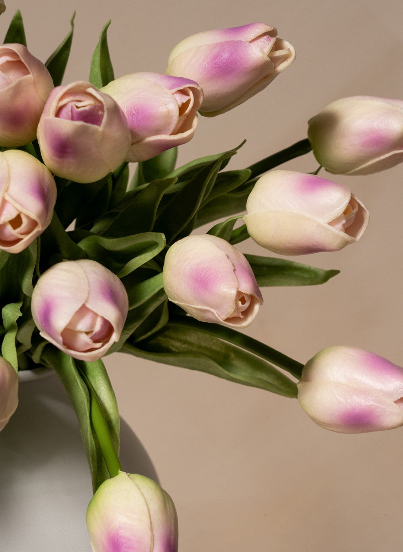 Bouquet di Tulipani - Viola (25 steli)