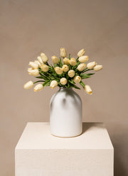 Bouquet di tulipani - Bianco (25 steli)