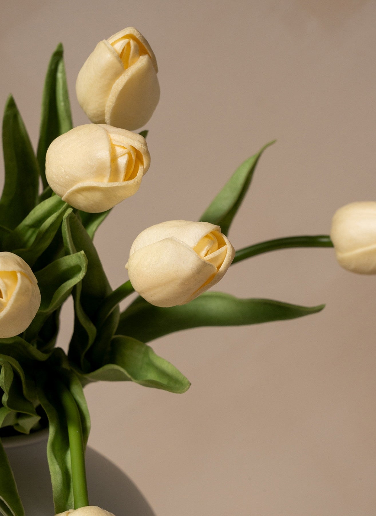 Bouquet di Tulipani - Bianco (25 steli)