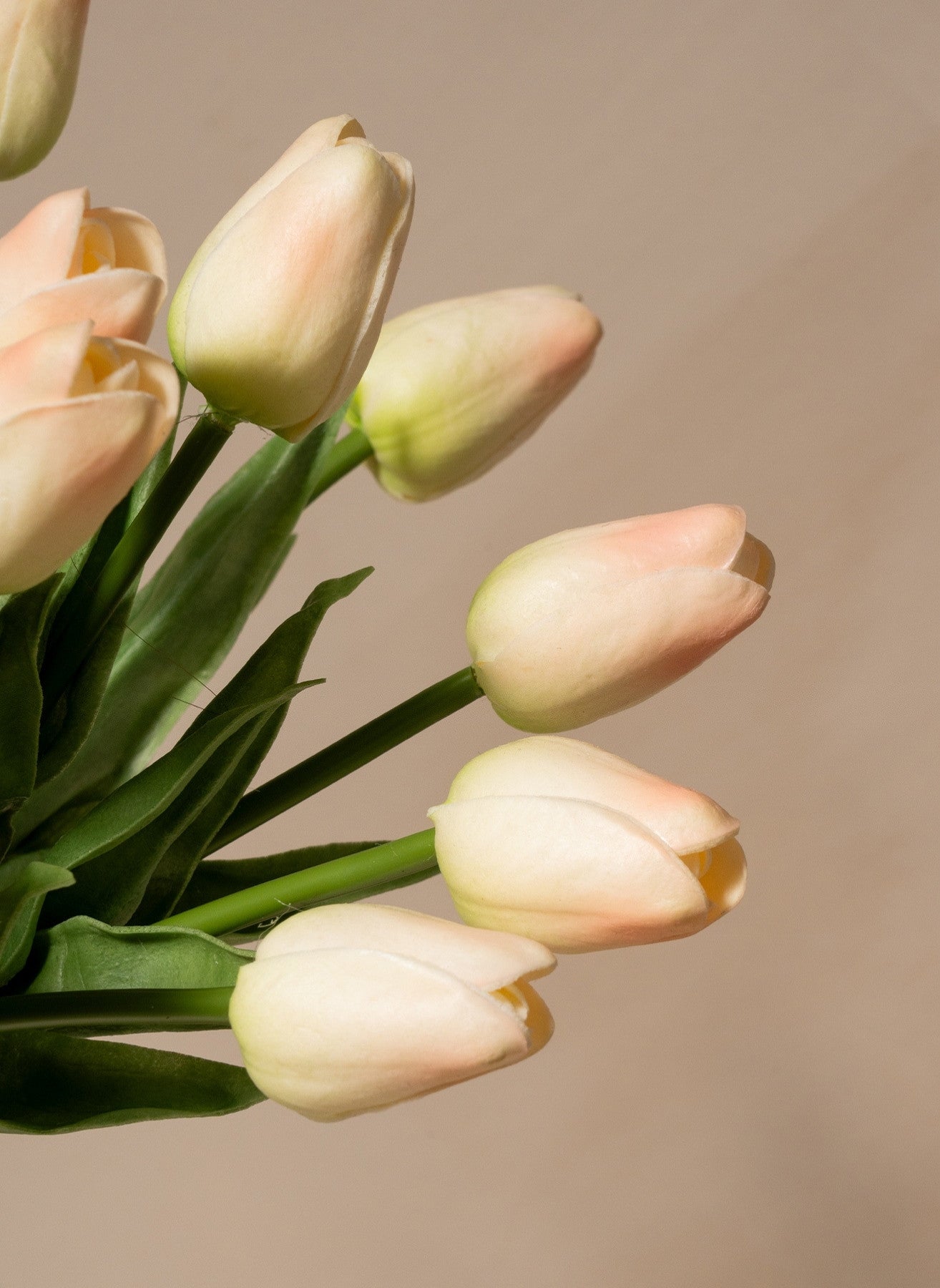 Bouquet di Tulipani - Rosa Antico (25 steli)