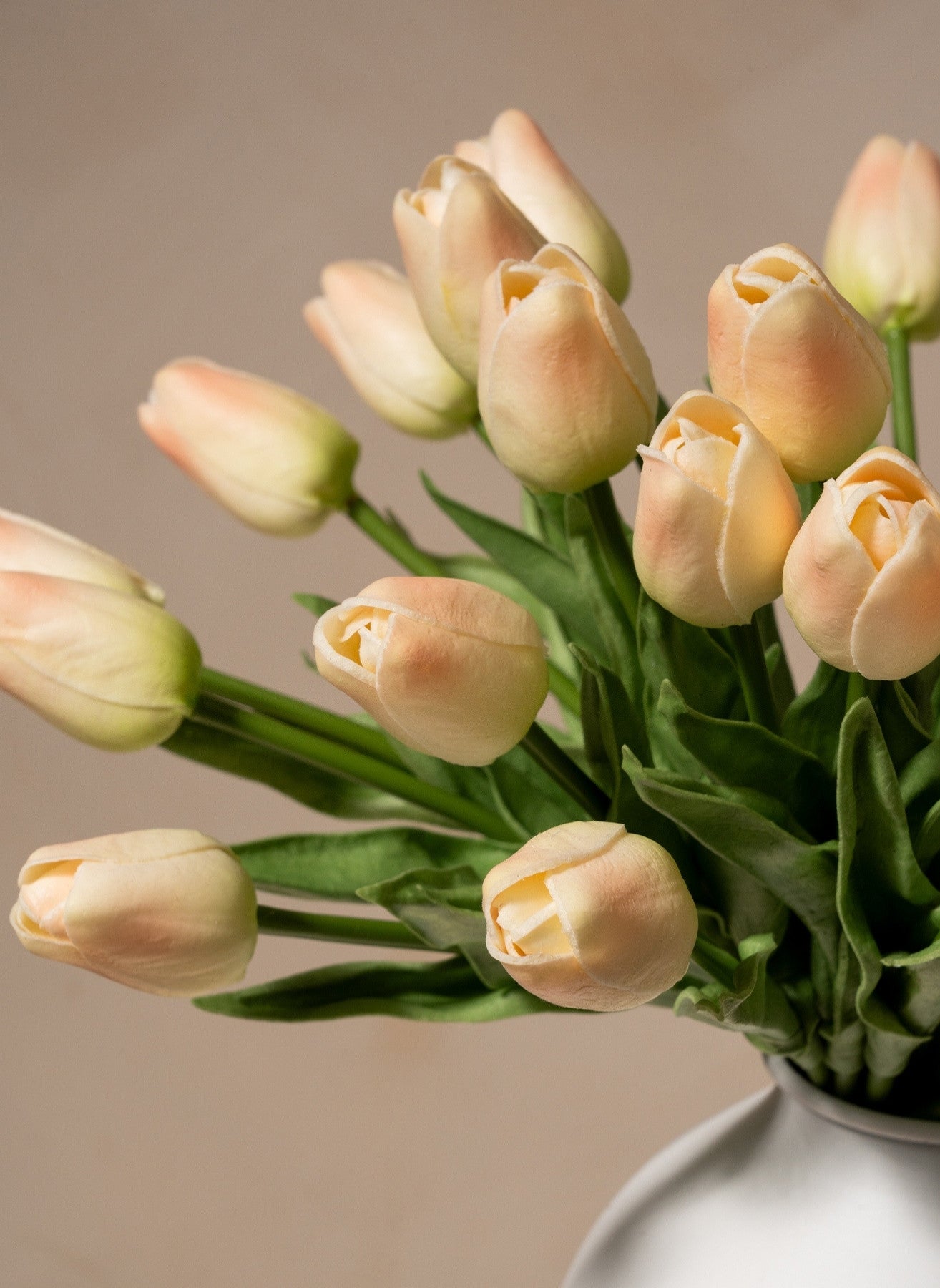 Bouquet di tulipani - Rosa antico (25 steli)